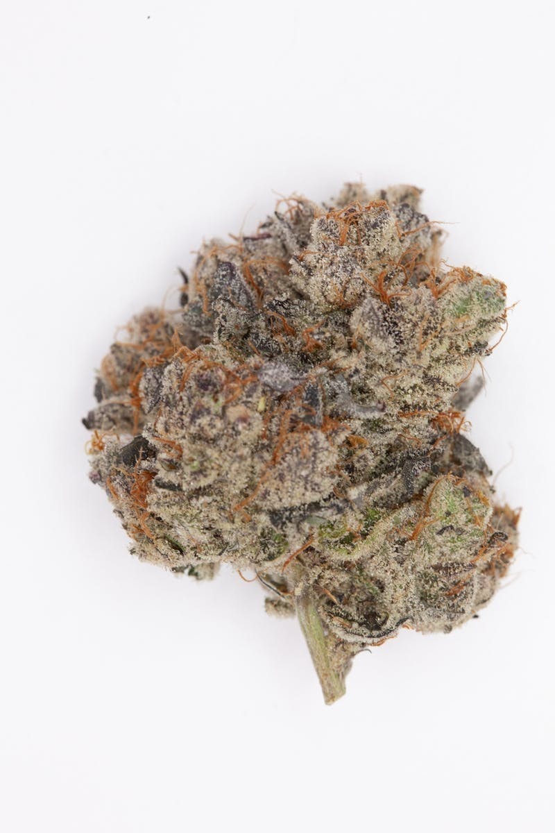 P37 - P37 | Exotic Runtz | Big Buds - 1