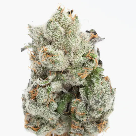P37 - P37 | Froot Stripes | Big Buds - 1