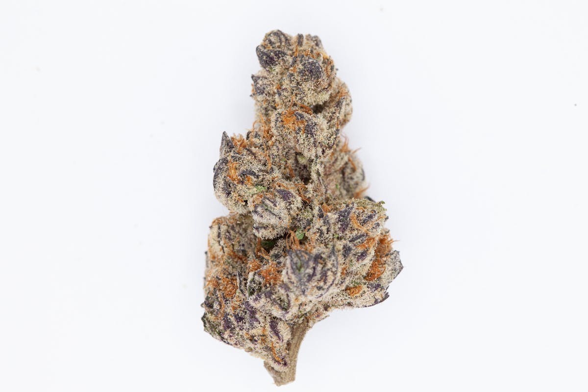 P37 - P37 | Giovanni Battista Bugatti | Big Buds - 1