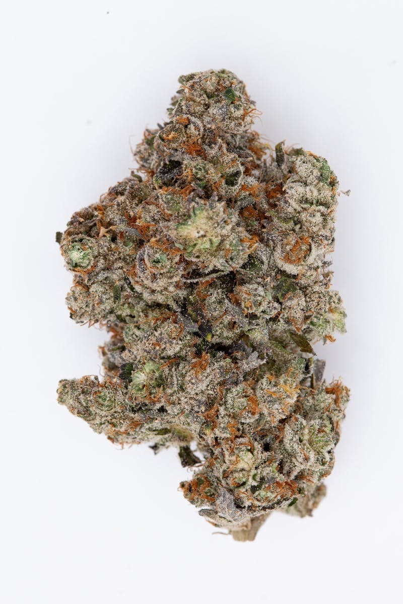 P37 - P37 | Gorilla Works | Big Buds - 1