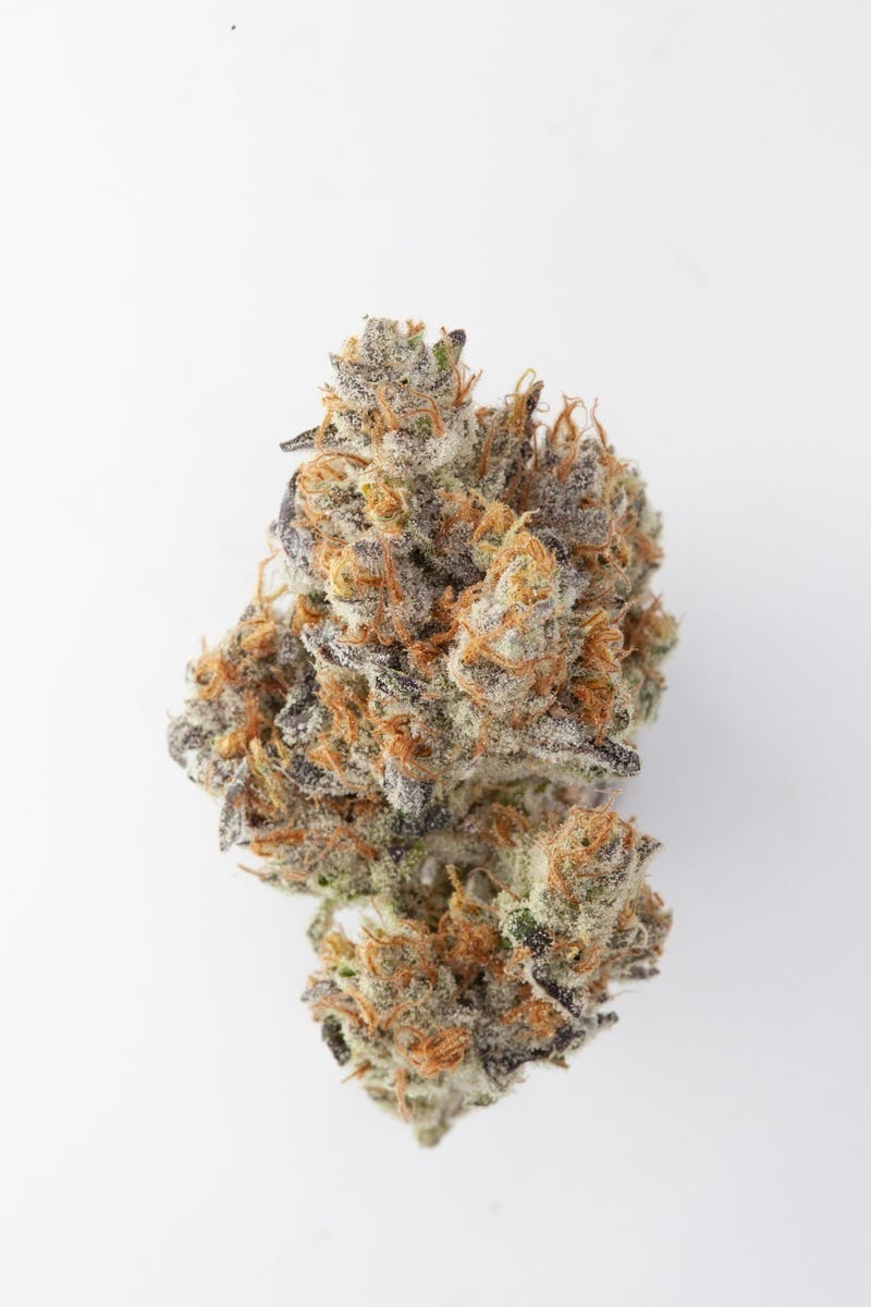 P37 - P37 | Indiana Bubblegum | Big Buds - 1