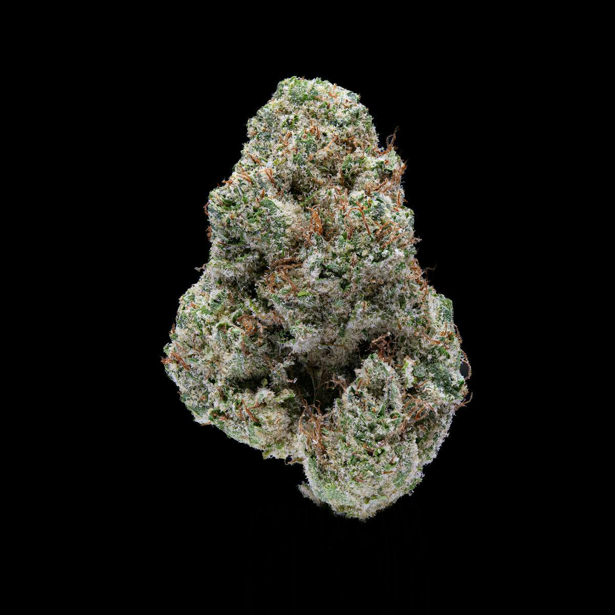 P37 - P37 | Lemon Drip | Big Buds - 1