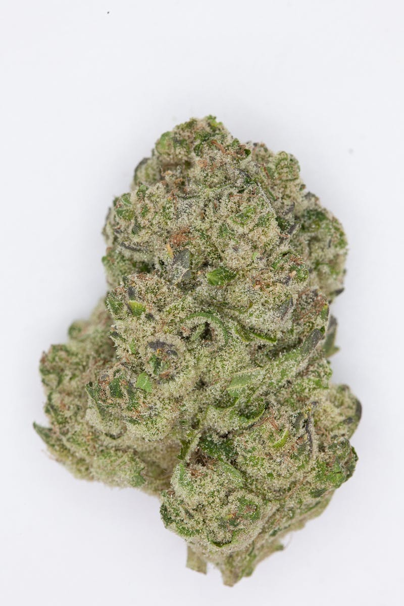 P37 - P37 | Modified Banana | Big Buds - 1