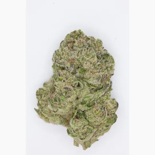 P37 - P37 | Modified Banana | Big Buds - 1