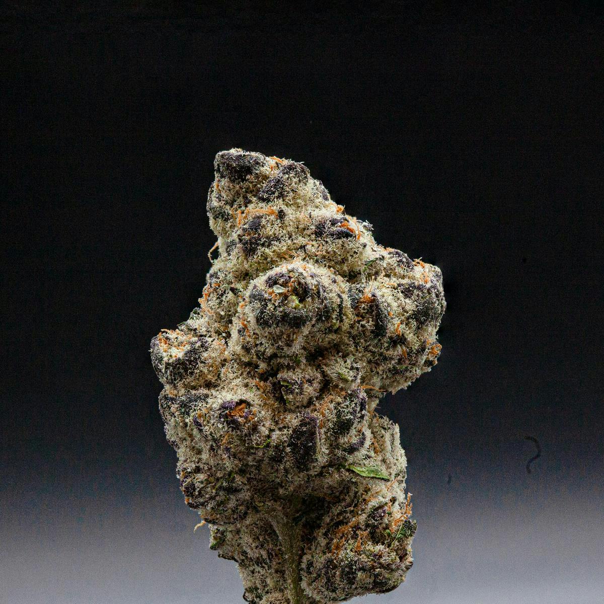 P37 - P37 | Night Moves | Big Buds - 1