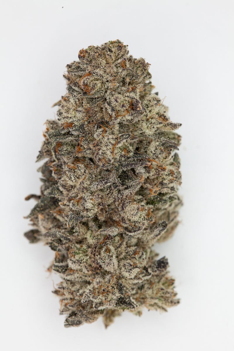 P37 - P37 | Oreoz | Big Buds - 1