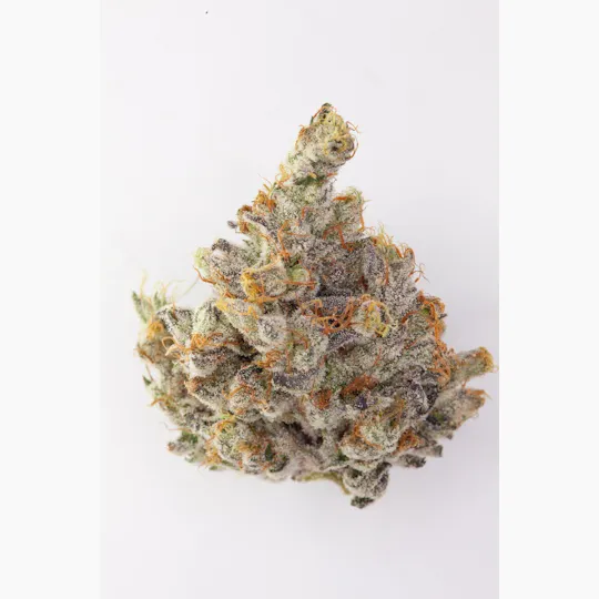 P37 - P37 | Stin'jeh | Big Buds - 1