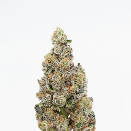 P37 - P37 | Supreme Oreoz | Big Buds - 1
