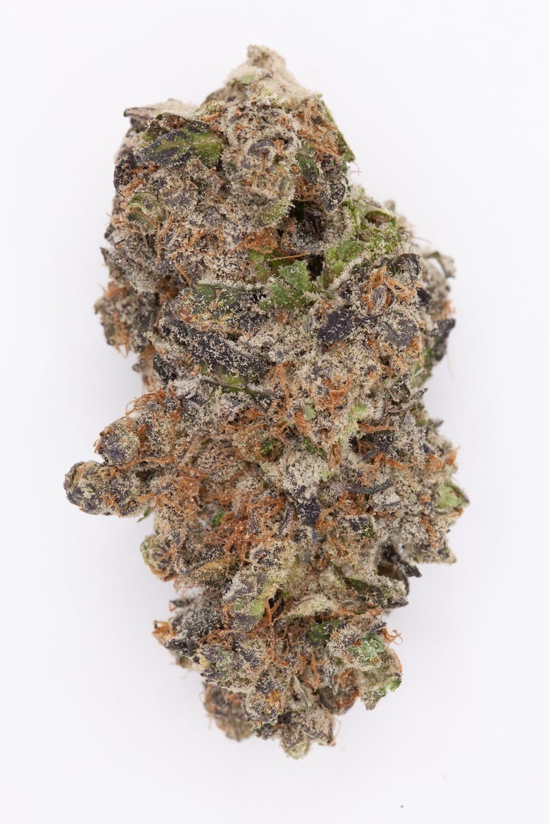 P37 - P37 | Tony Clifton | Big Buds - 1