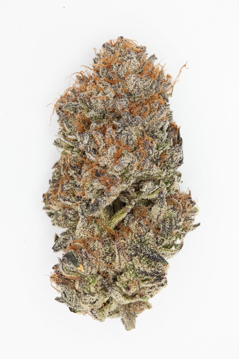 P37 - P37 | Tropical Runtz | Big Buds - 1