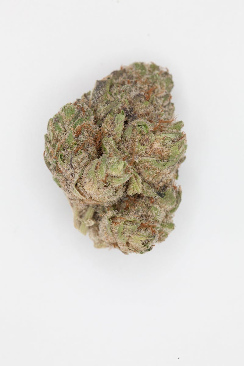 P37 - P37 | Twisted Banana | Big Buds - 1