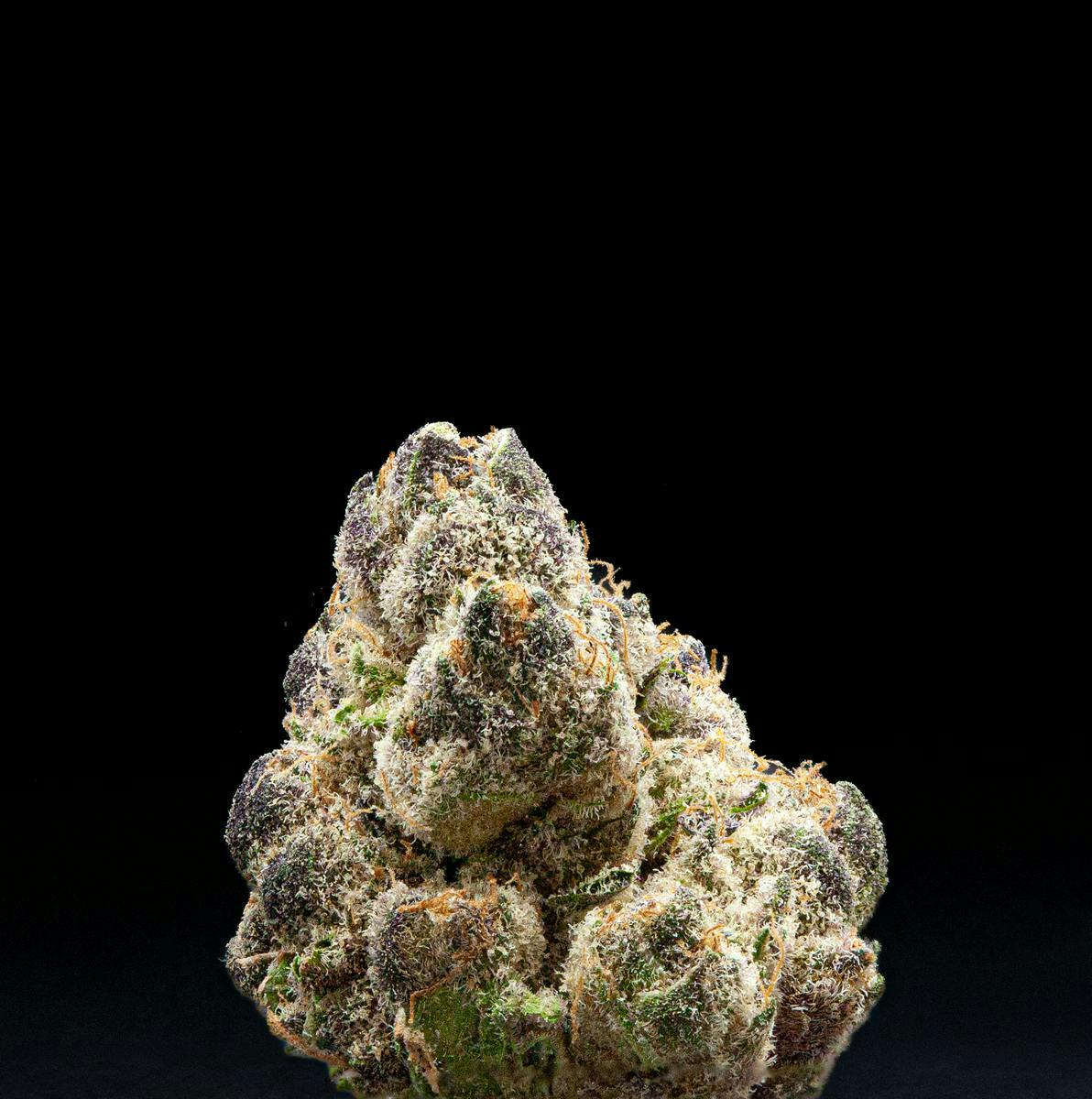 P37 - P37 | Vice City | Big Buds - 1