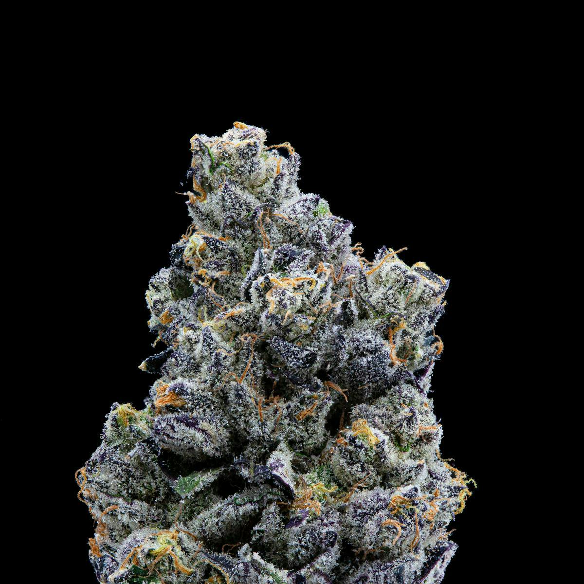 P37 - P37 | Yaasss Betch | Big Buds - 1