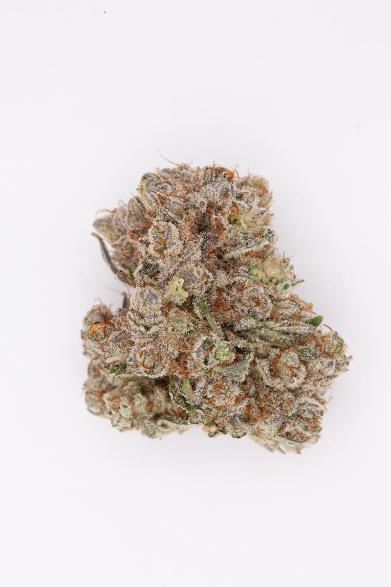P37 - P37 | The Big O | Big Buds - 1
