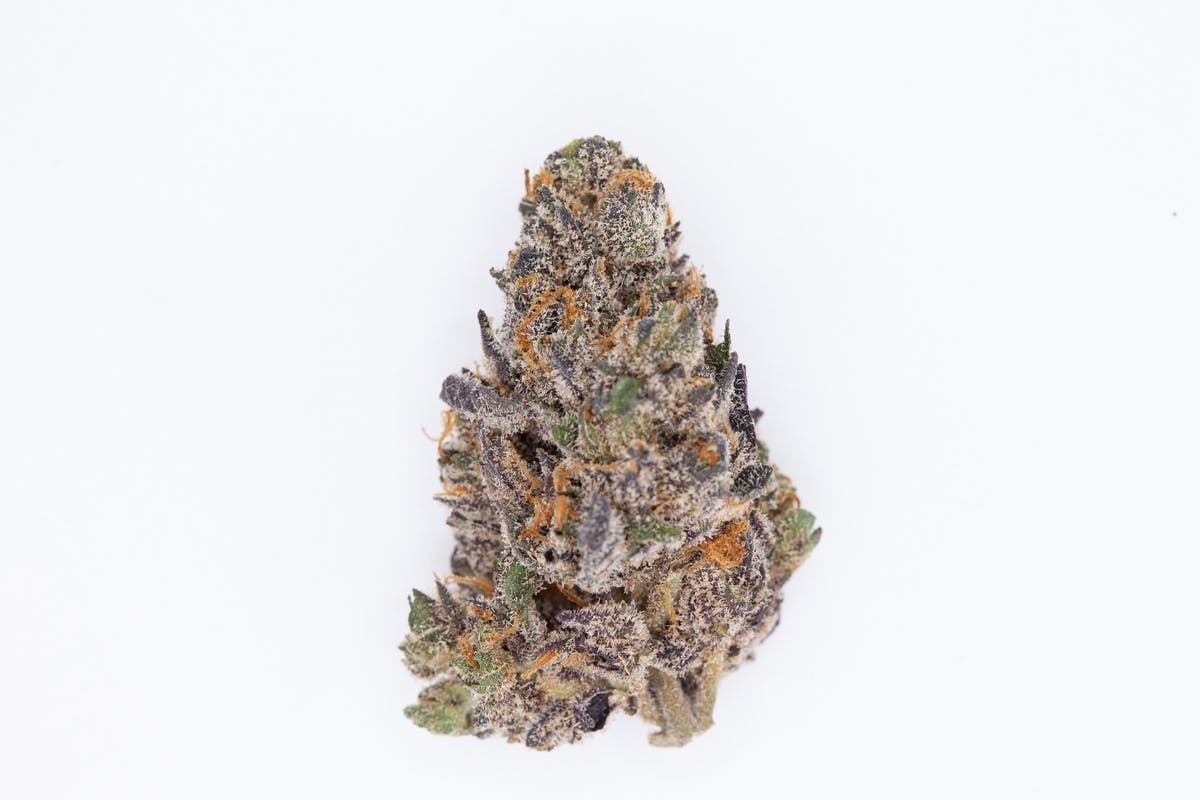 P37 - P37 | Nightmare Runtz | Big Buds - 1