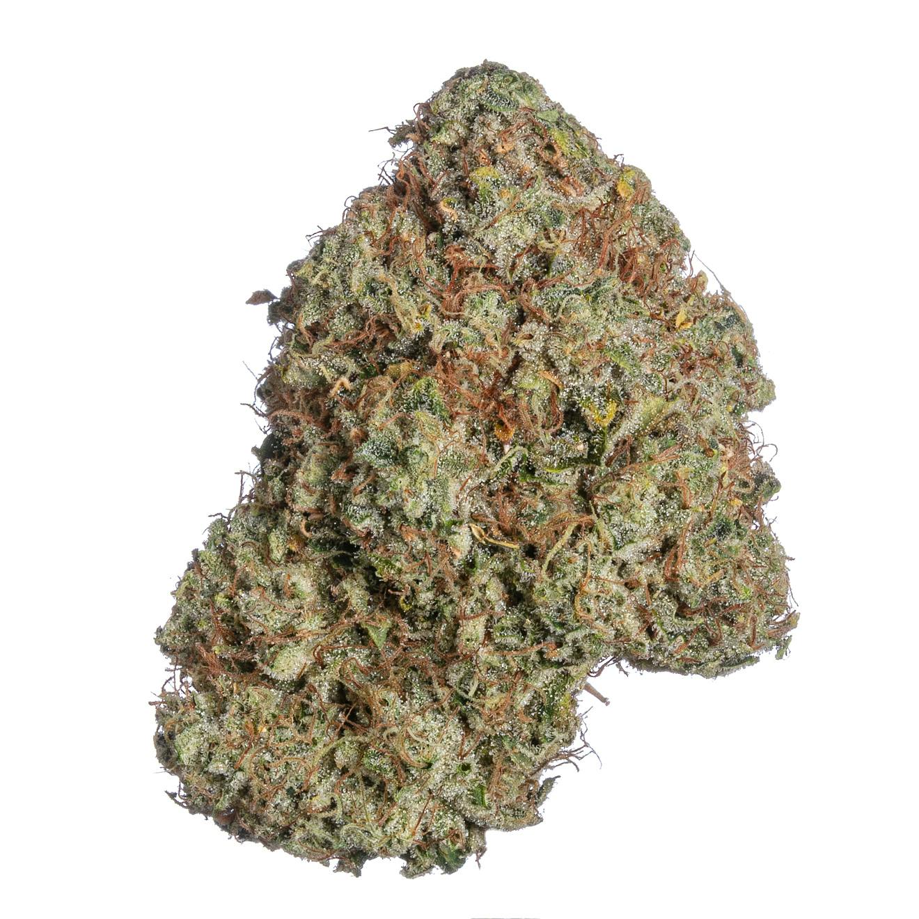 Meraki Gardens - Meraki Gardens | Blank Check | Flower - 1