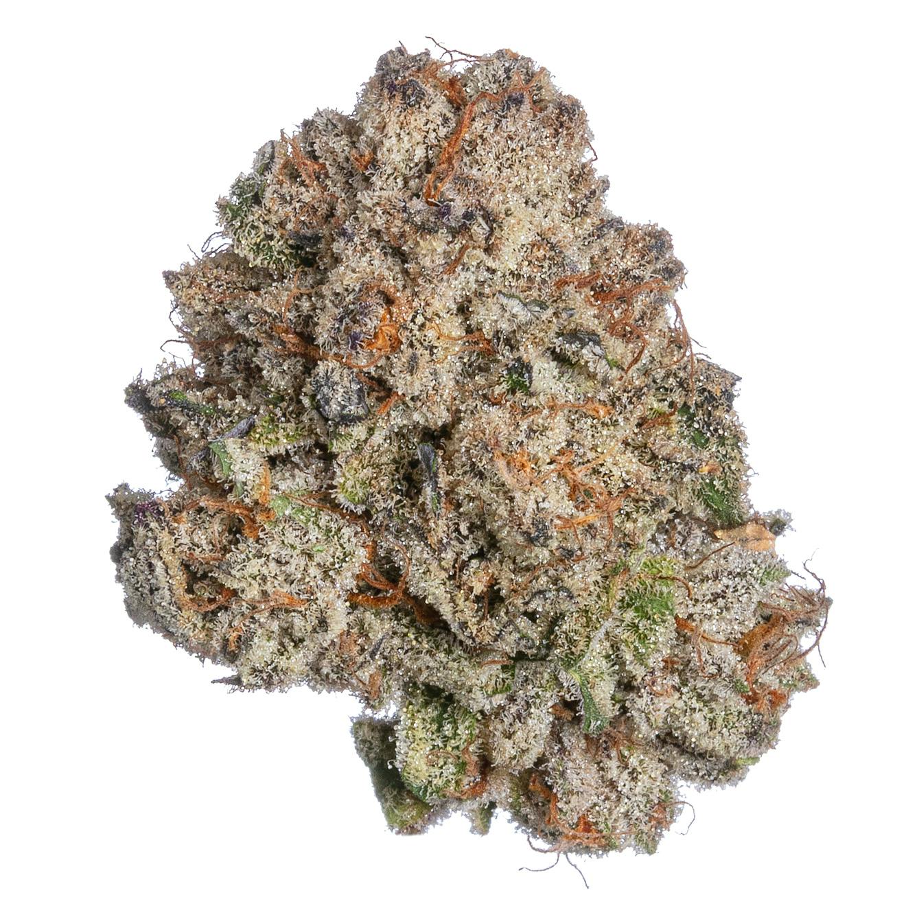 Meraki Gardens - Meraki Gardens | Blue Razz | Flower - 1