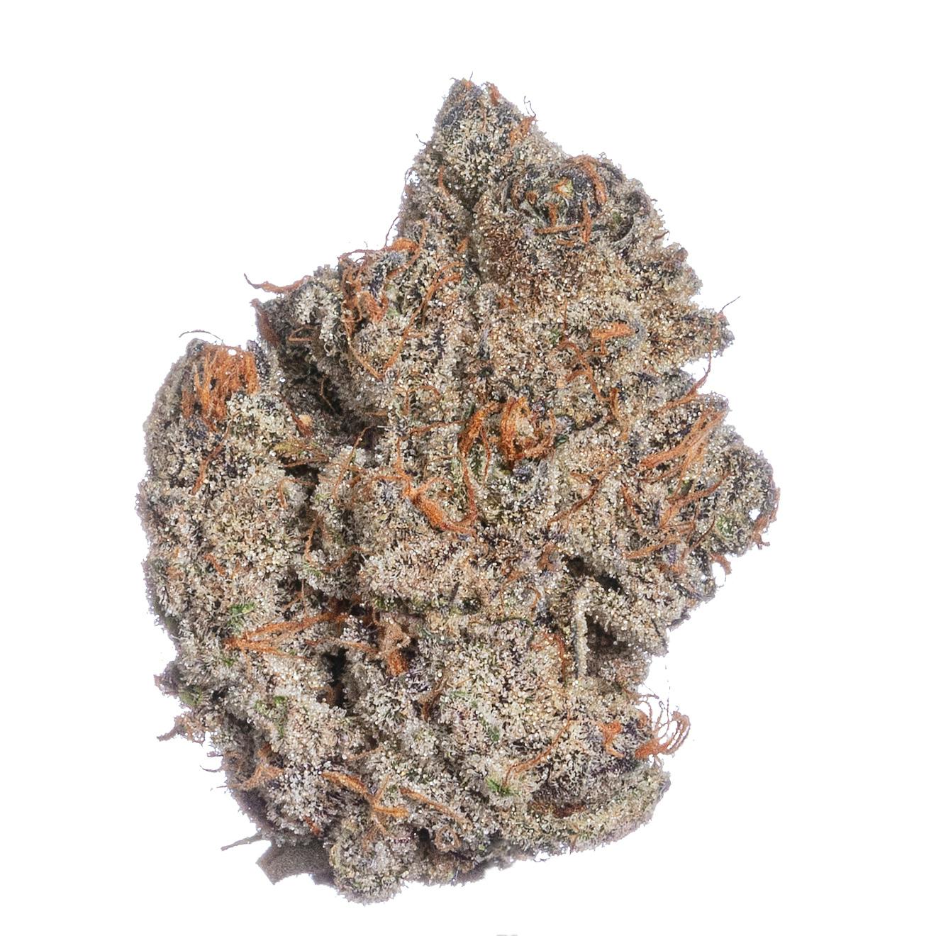 Meraki Gardens - Meraki Gardens | Candy Chrome | Flower - 1