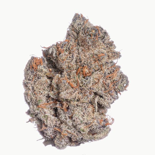 Meraki Gardens - Meraki Gardens | Candy Chrome | Flower - 1