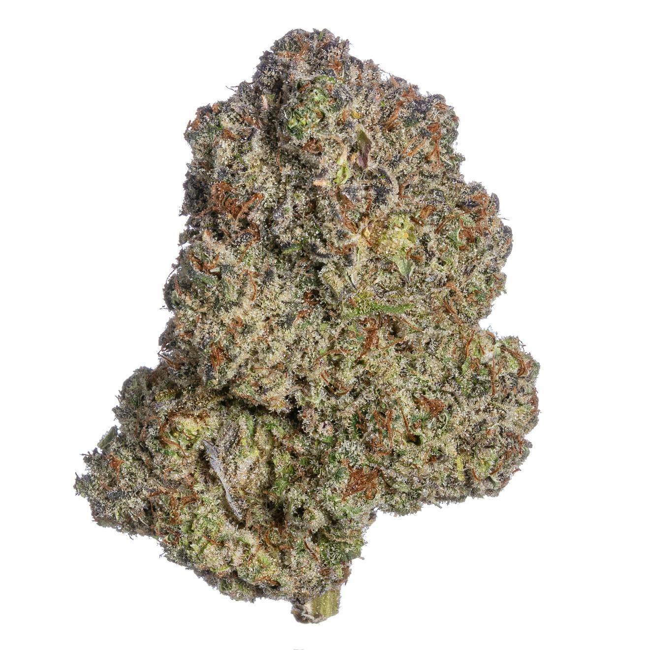 Meraki Gardens - Meraki Gardens | Cherry Ak-47 | Flower - 1