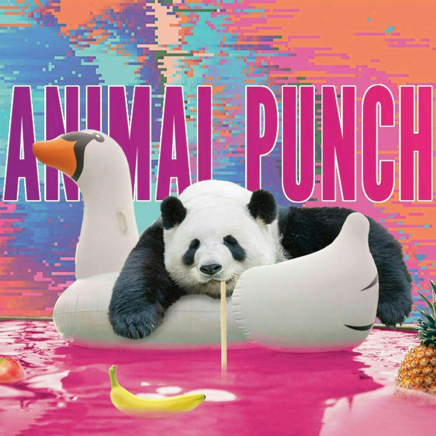 Phat Panda - Phat Panda | Animal Punch | Big Buds - 1