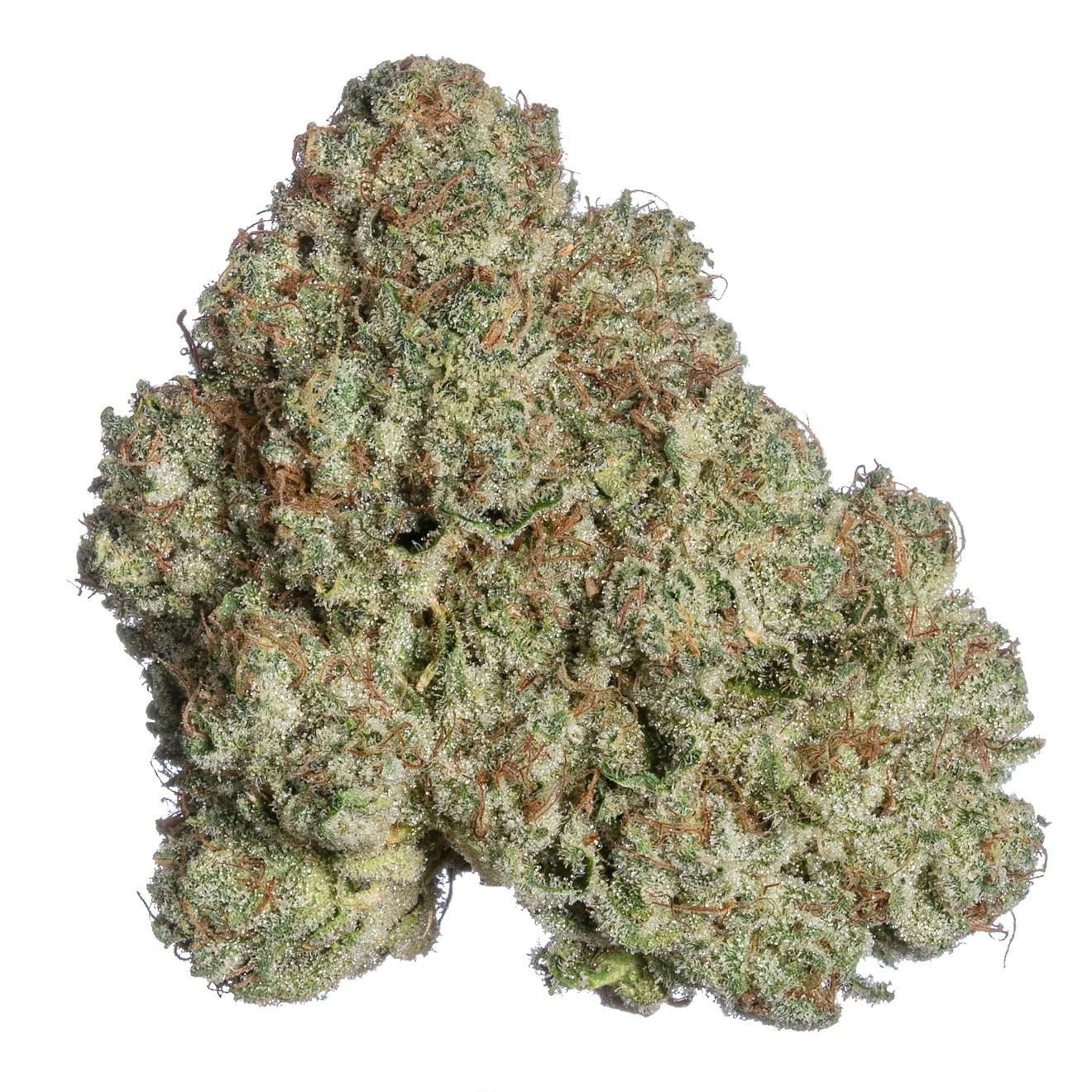 Meraki Gardens - Meraki Gardens | Sleeping With The Stars | Flower - 1