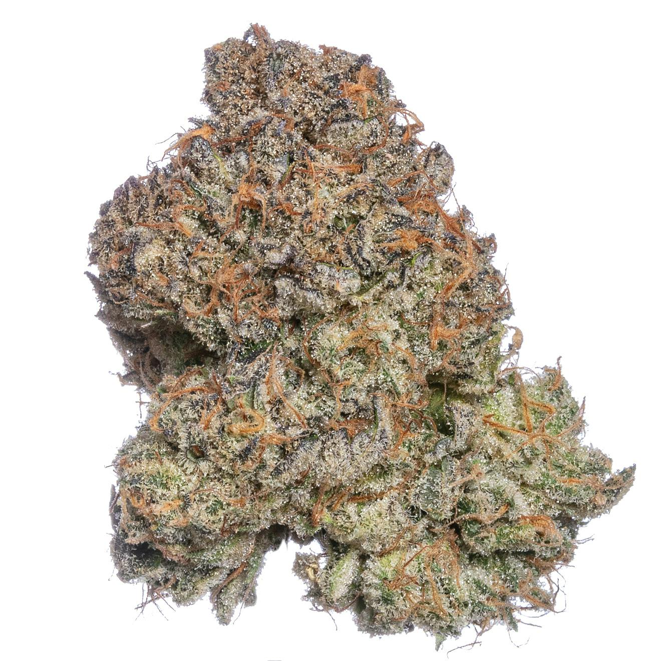 Meraki Gardens - Meraki Gardens | Sweet Thang | Flower - 1