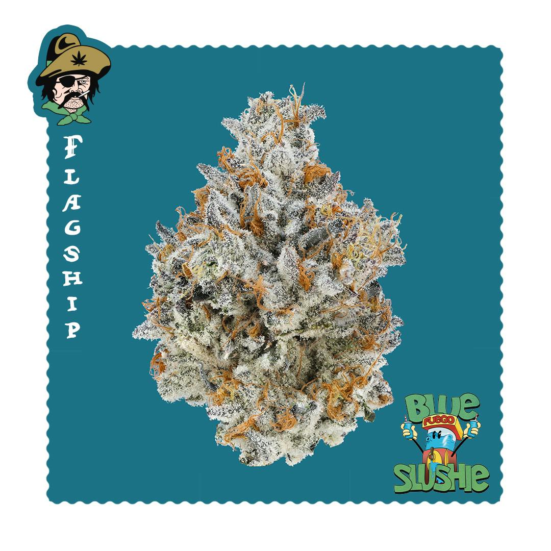 Freddy's Fuego - Blue Slushie -Flagship - 1