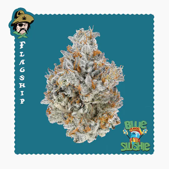 Freddy's Fuego - Blue Slushie -Flagship - 1