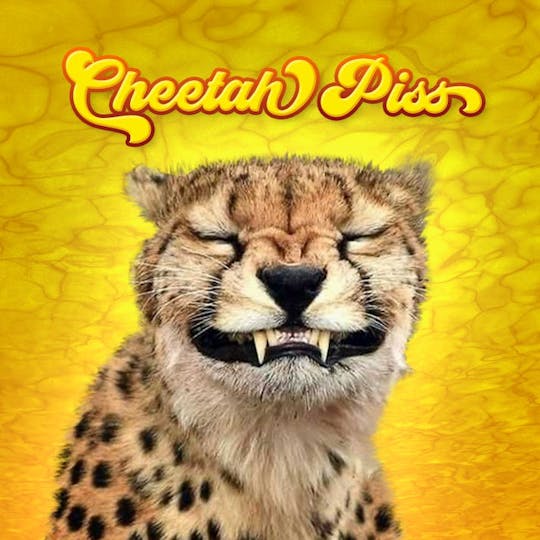 Phat Panda - Cheetah Piss Bong Buddies - WA - 1
