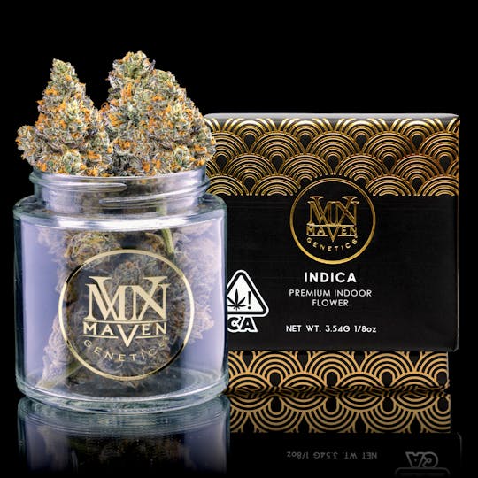 Maven Genetics - Oro - 1