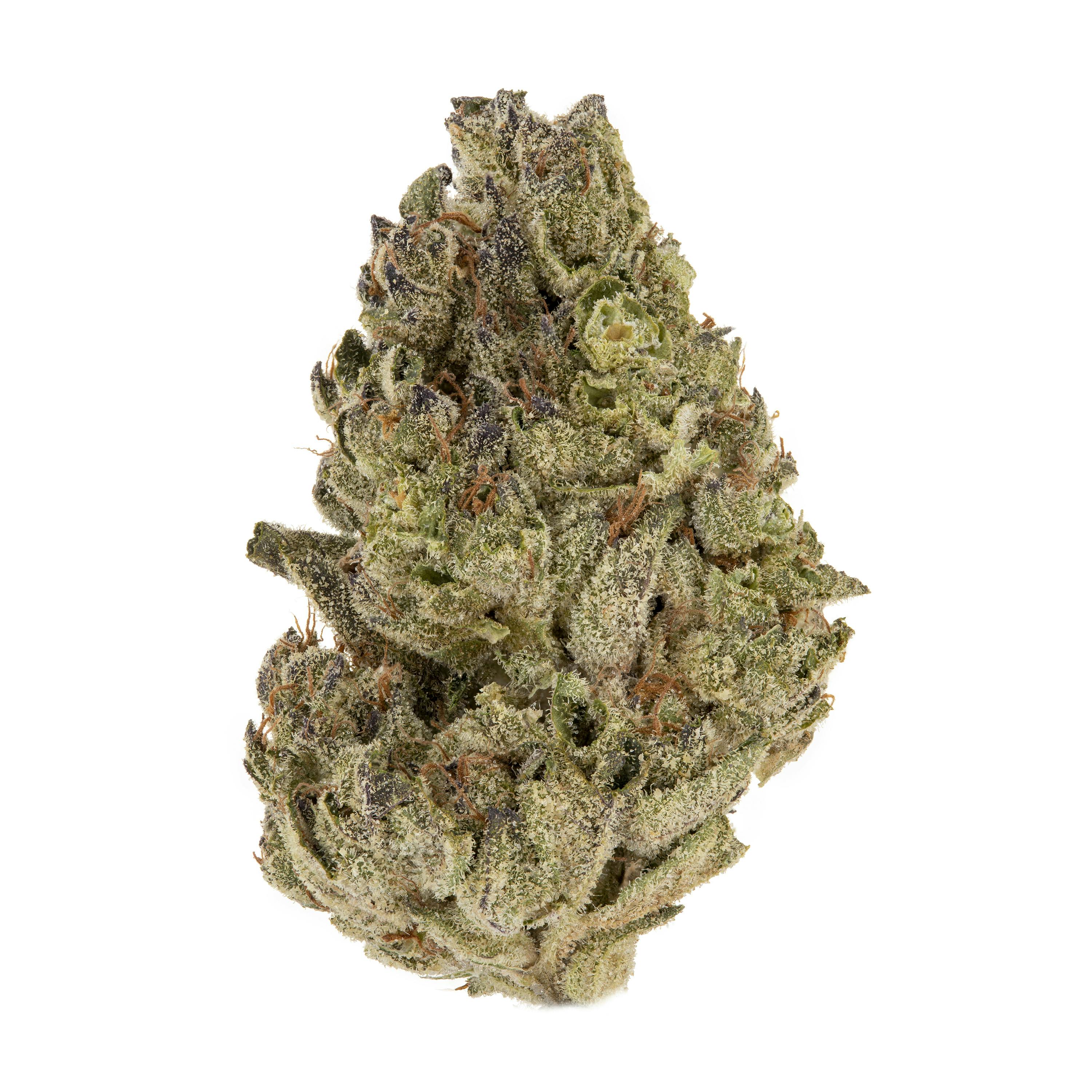 Casacanna - Jiffy Cake - 1