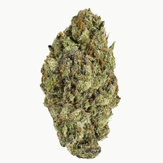 West Coast Cure - Gelato 33 - 14G Premium Flower - 1