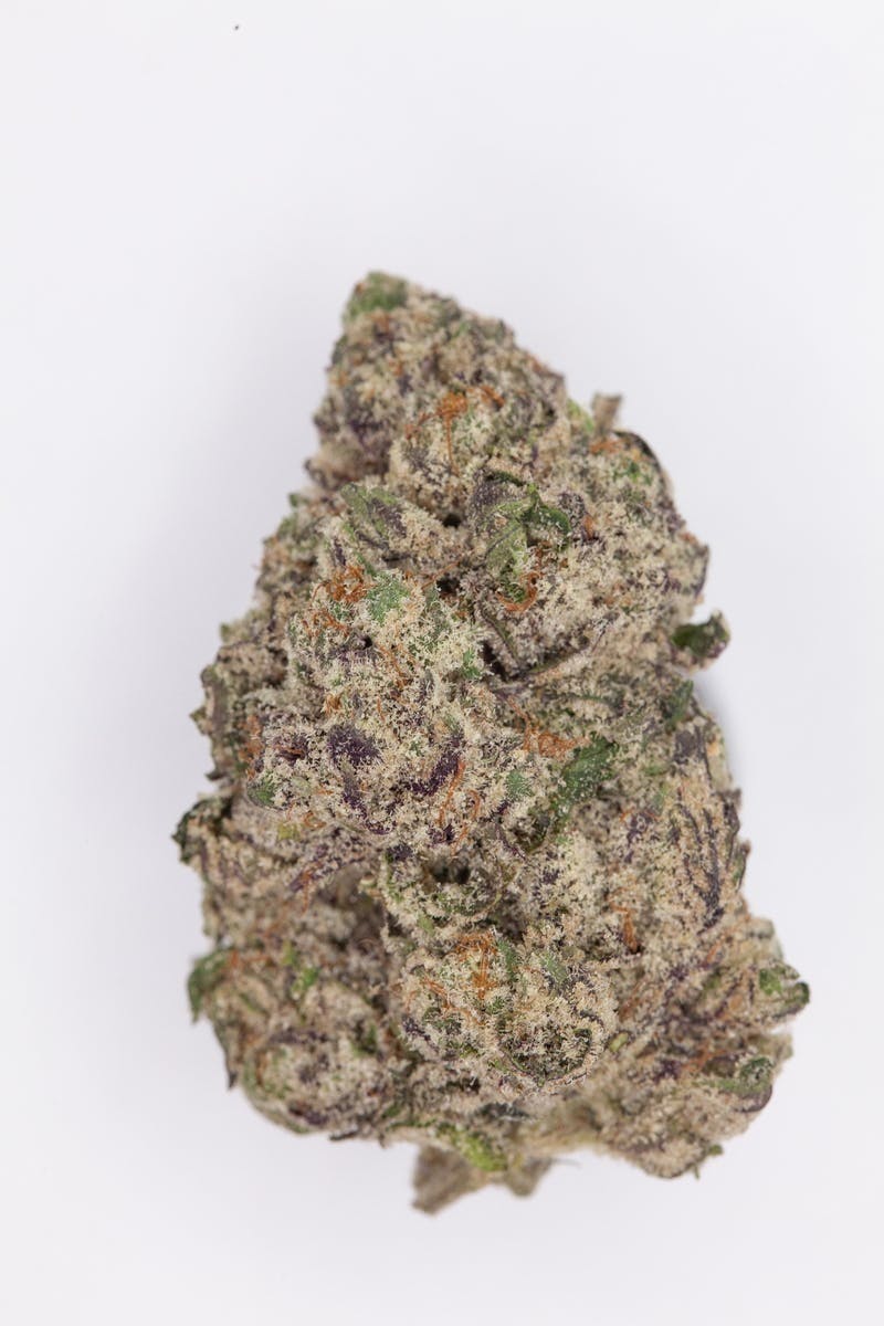 P37 - P37 | The Beavs | Big Buds - 1