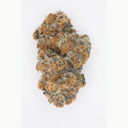 P37 - 1g Full Flower Preroll | Cement Shoes - 1