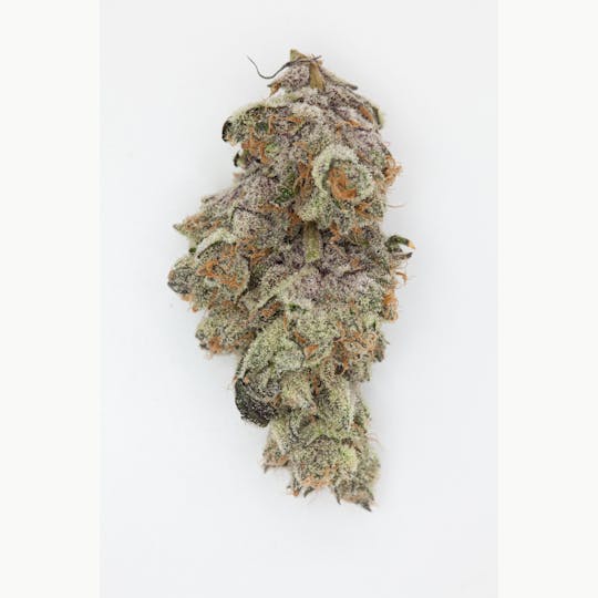 P37 - 1g Full Flower Preroll | White Russian - 1