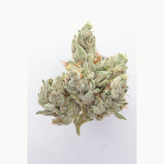 P37 - 1g Full Flower Preroll | Casper OG - 1