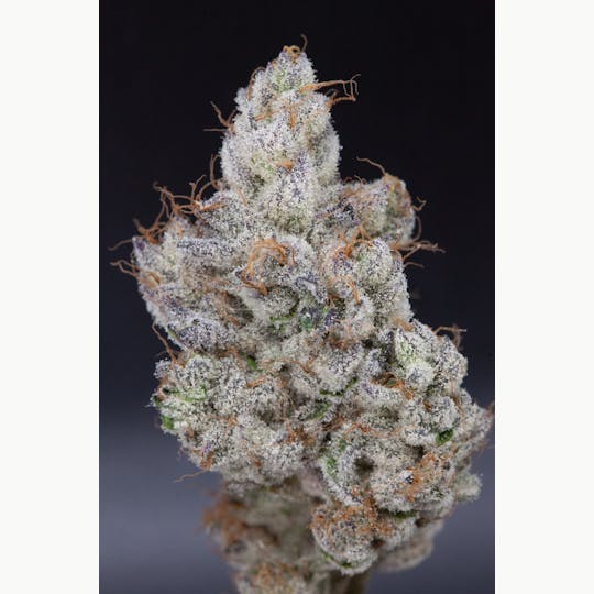 P37 - 1g Full Flower Preroll | Drip Station - 1