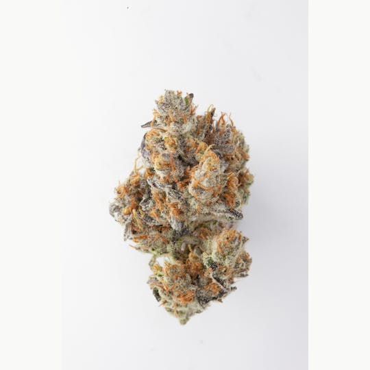 P37 - 1g Full Flower Preroll | Indiana Bubblegum - 1