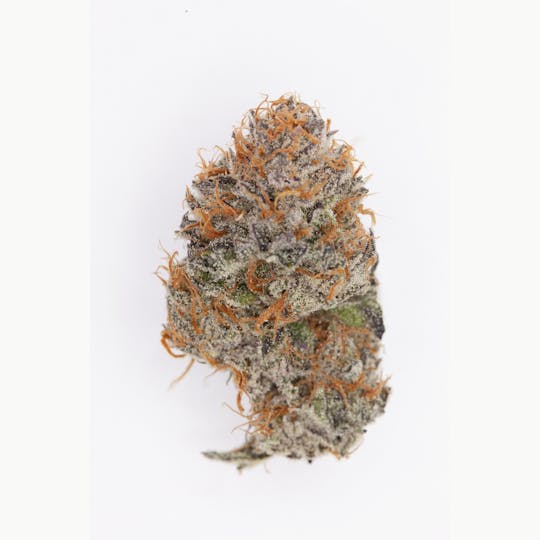 P37 - 1g Full Flower Preroll | Stuffed French Toast - 1