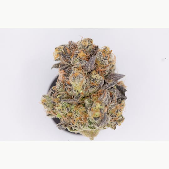 P37 - 1g Full Flower Preroll | Wedding Cake - 1