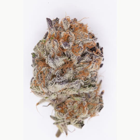 P37 - 1g Full Flower Preroll | Wedding Punch - 1