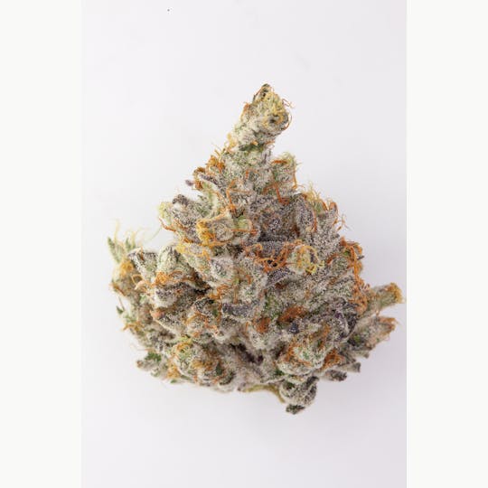 P37 - 1g Full Flower Preroll | Stin'je - 1