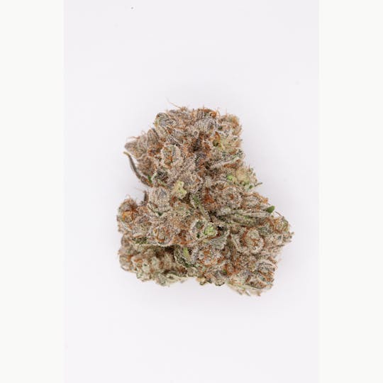 P37 - 1g Full Flower Preroll | The Big O - 1