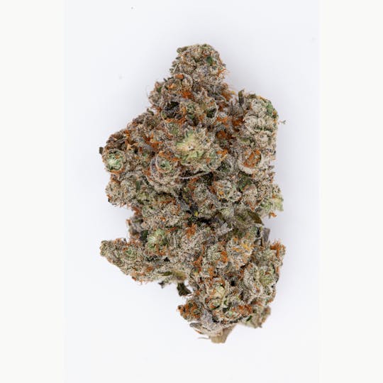 P37 - 1g Full Flower Preroll | Gorilla Works - 1