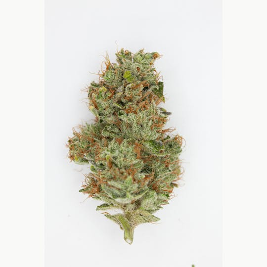 P37 - 1g Full Flower Preroll | Ocean Water - 1