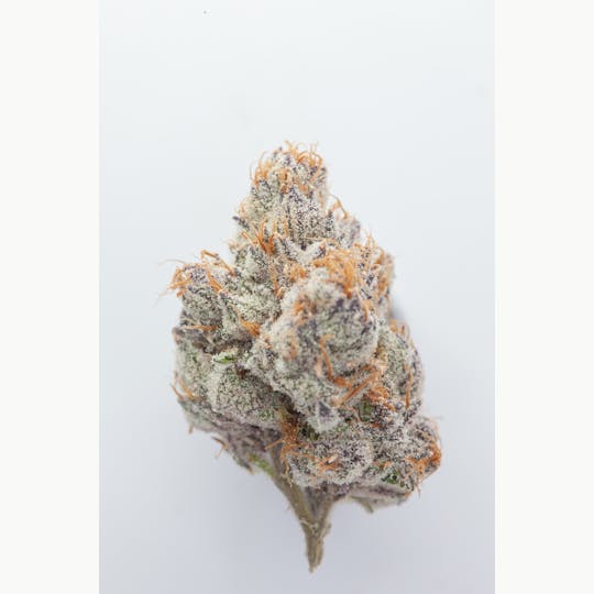 P37 - 1g Full Flower Preroll | Runtz - 1
