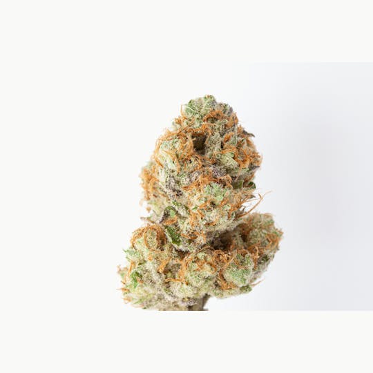 P37 - 1g Full Flower Preroll | Grape Jolly Rancher - 1
