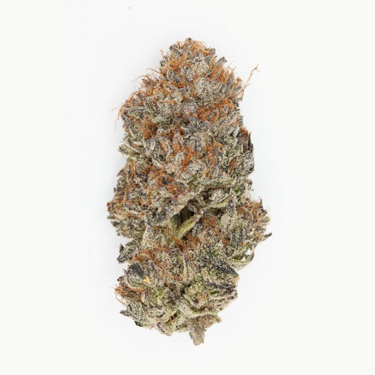 P37 - 1g Full Flower Preroll | Tropical Runtz - 1