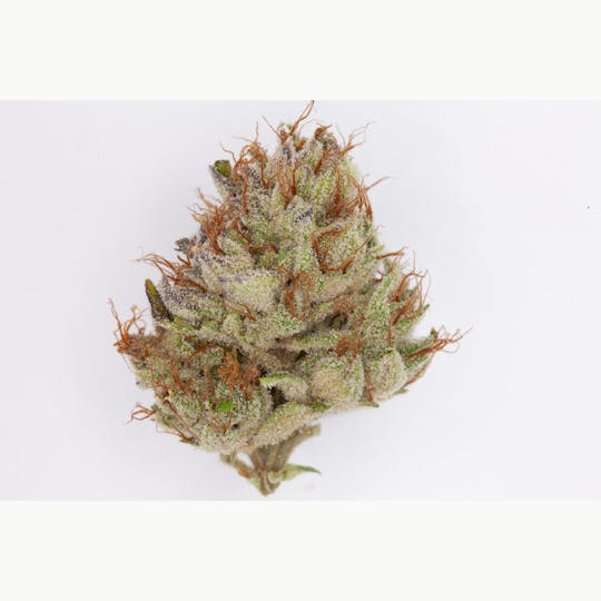 P37 - 1g Full Flower Preroll | Garlic Bread - 1